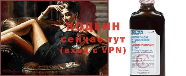 крисы Надым