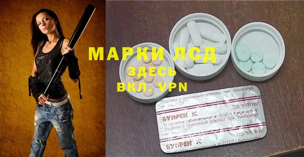 крисы Надым