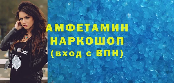 крисы Надым