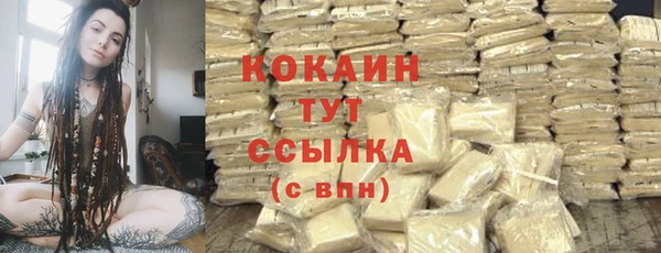 крисы Надым