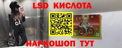 шишки Ливны