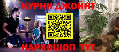 шишки Ливны