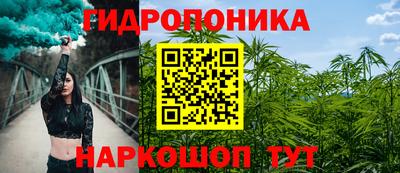 шишки Ливны