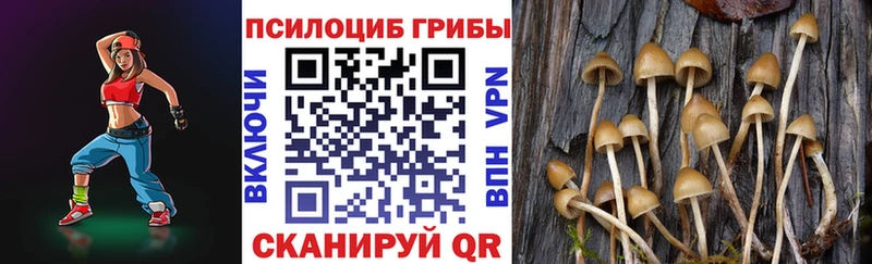 Галлюциногенные грибы MAGIC MUSHROOMS Грозный
