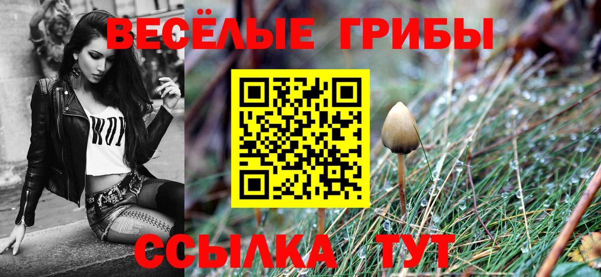 Псилоцибиновые грибы Psilocybe  где купить наркотик  Галлюциногенные грибы Cubensis  Грозный  Вход с VPN 